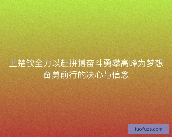 王楚钦全力以赴拼搏奋斗勇攀高峰为梦想奋勇前行的决心与信念