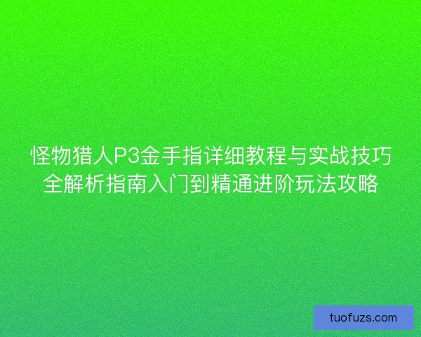 怪物猎人P3金手指详细教程与实战技巧全解析指南入门到精通进阶玩法攻略