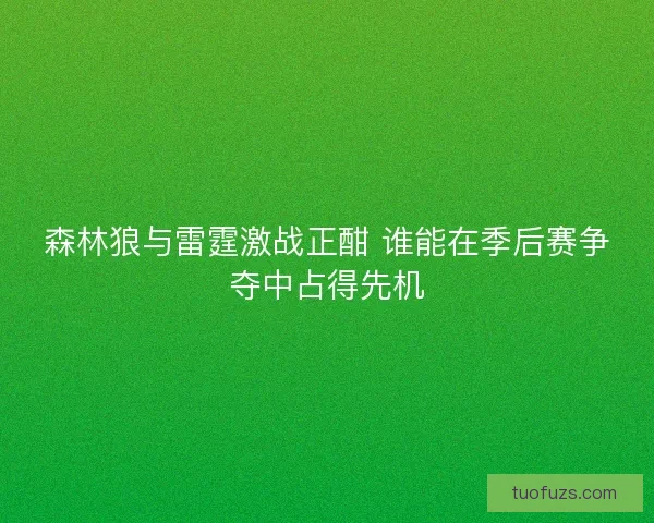 森林狼与雷霆激战正酣 谁能在季后赛争夺中占得先机 森林狼与雷霆激战正酣 谁能在季后赛争夺中占得先机