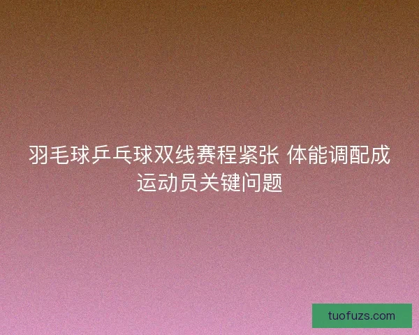 羽毛球乒乓球双线赛程紧张 体能调配成运动员关键问题